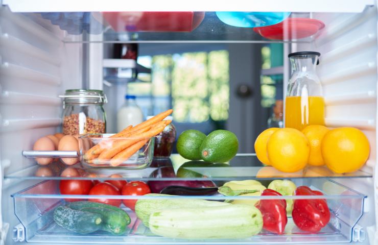 Interno del frigo