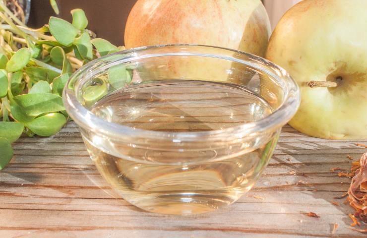 Acqua ed aceto bianco