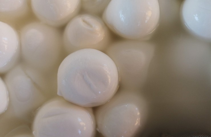 Bocconcini di mozzarella