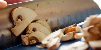 Congelare funghi è possibile - RicettaSprint