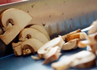 Congelare funghi è possibile - RicettaSprint