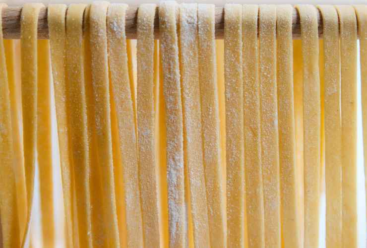 Conservare pasta fresca fuori dal congelatore 6 mesi - RicettaSprint