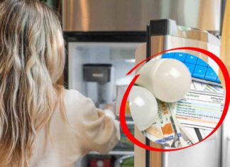 Donna davanti al frigo aperto