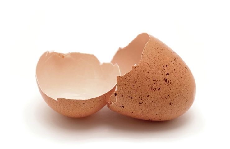 Controllare se non ci sono residui di uova nella ciotola RicettaSprint