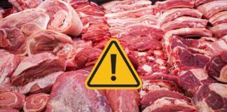 Carne rossa