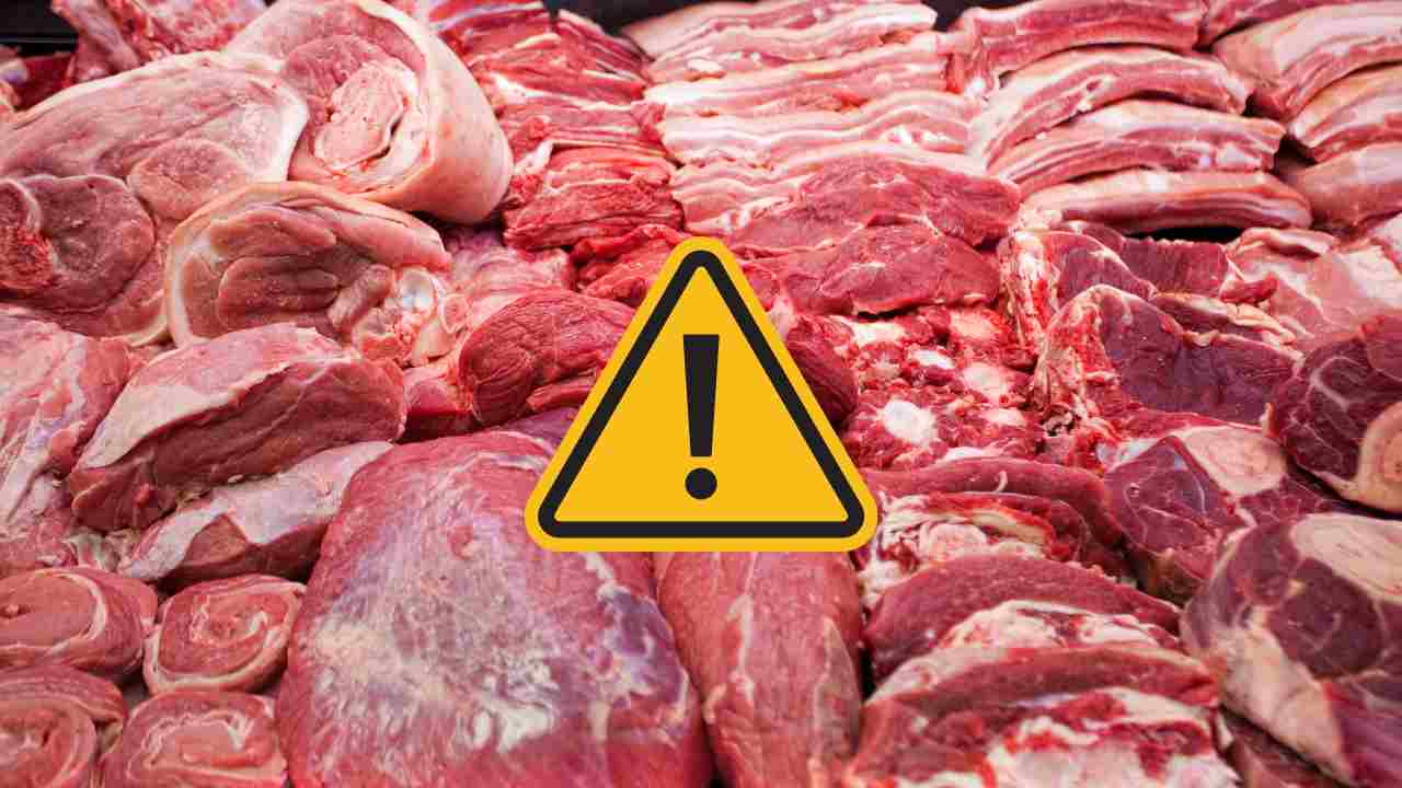 Carne rossa