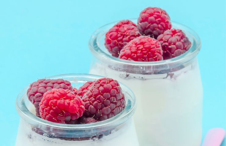 Yogurt magro