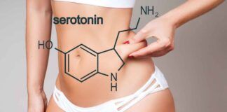 Fame eccessiva colpa della serotonina - RicettaSprint