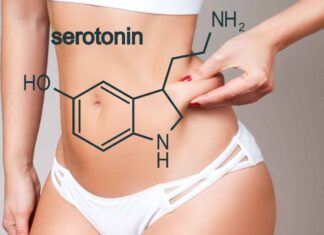 Fame eccessiva colpa della serotonina - RicettaSprint
