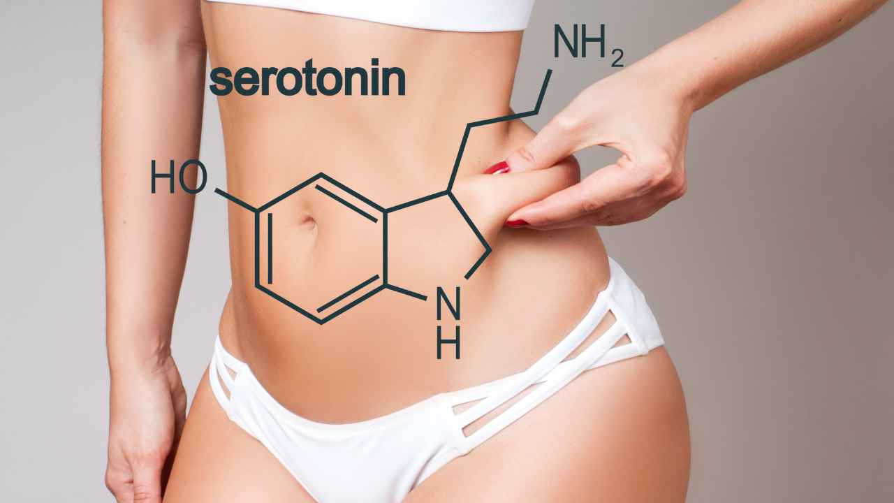 Fame eccessiva colpa della serotonina - RicettaSprint