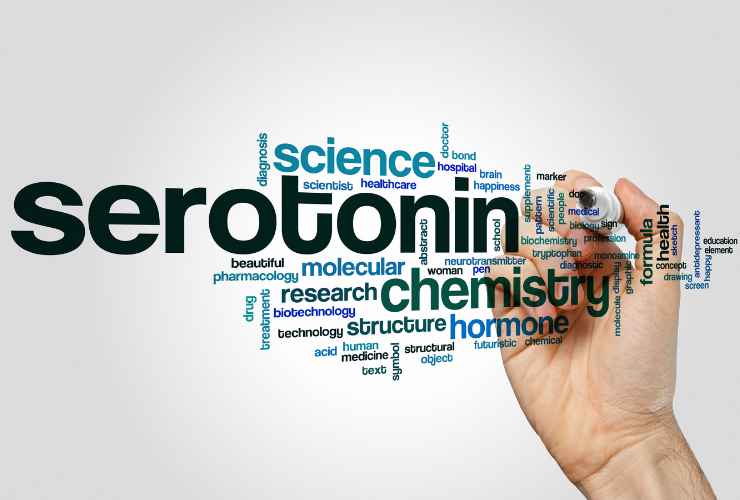 Fame eccessiva colpa della serotonina - RicettaSprint
