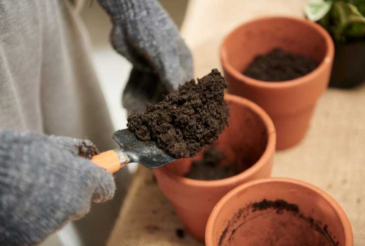 Fertilizzante naturale per piante - RicettaSprint