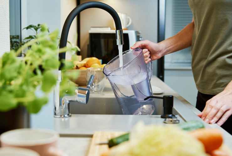 Filtro delle caraffe come vanno puliti - RicettaSprint
