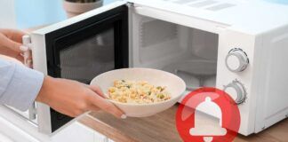 Cibo in forno a microonde