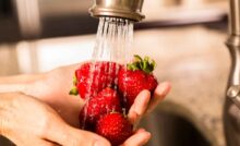 Fragole errori quando li lavi - RicettaSprint