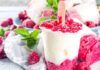 Gelato allo yogurt e lamponi RicettaSprint