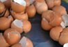 Gusci d'uovo e limone miscelati insieme - RicettaSprint