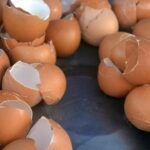 Gusci d'uovo e limone miscelati insieme - RicettaSprint