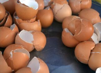 Gusci d'uovo e limone miscelati insieme - RicettaSprint
