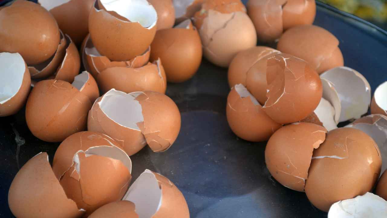Gusci d'uovo e limone miscelati insieme - RicettaSprint