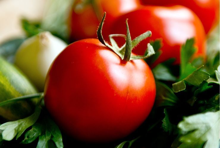 Insalata con pomodori finocchi cetrioli RicettaSprint