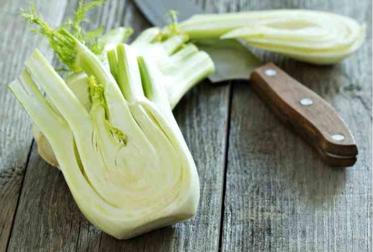Insalata con pomodori finocchi cetrioli RicettaSprint