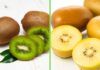 Kiwi verdi e gialli