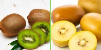 Kiwi verdi e gialli
