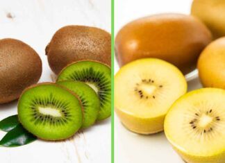 Kiwi verdi e gialli