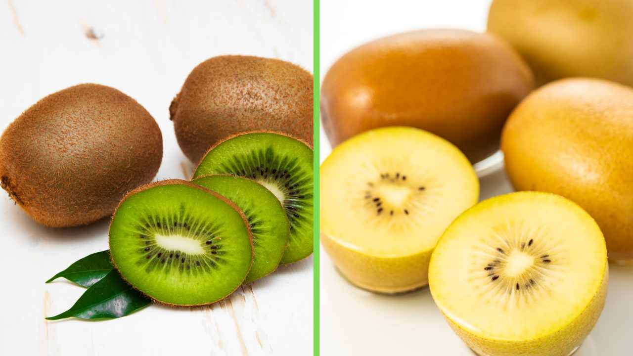 Kiwi verdi e gialli