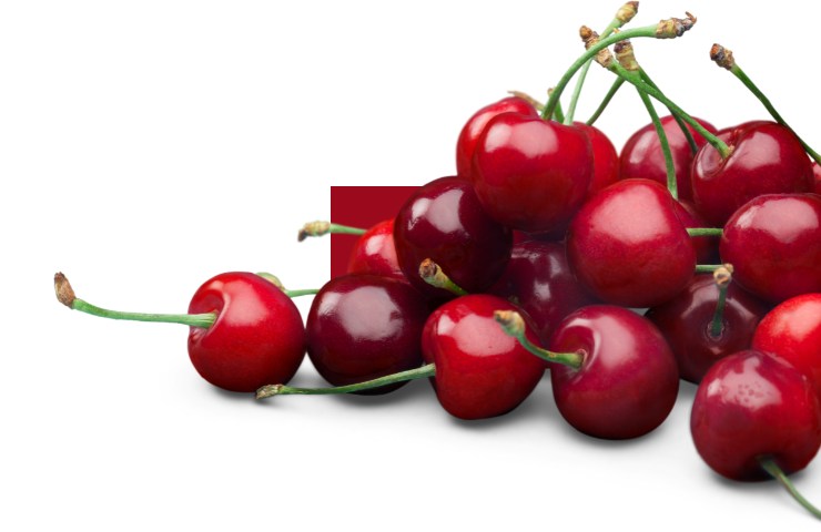 Ciliegie rosse