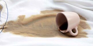 Macchie di caffè come rimuoverle - RicettaSprint
