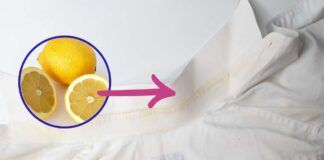 Macchie sui colli delle camice RicettaSprint