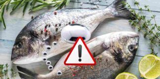 Mercurio nel pesce