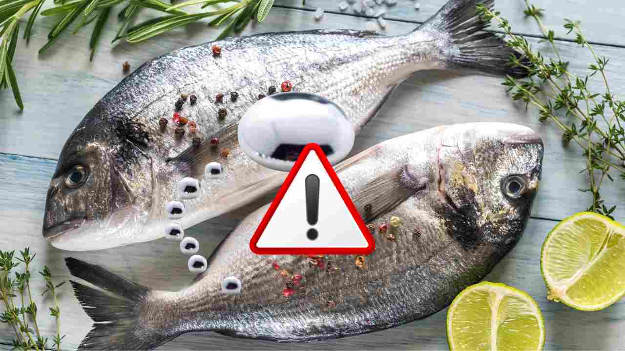 Mercurio nel pesce