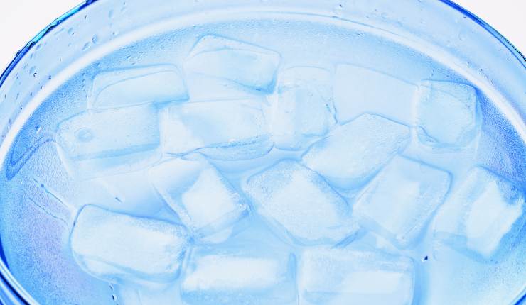 Mettere la cipolla nella ciotola con acqua e ghiaccio RicettaSprint