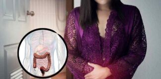 Donna e modello di intestino