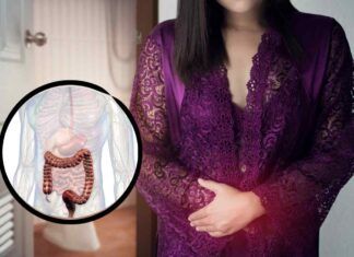 Donna e modello di intestino