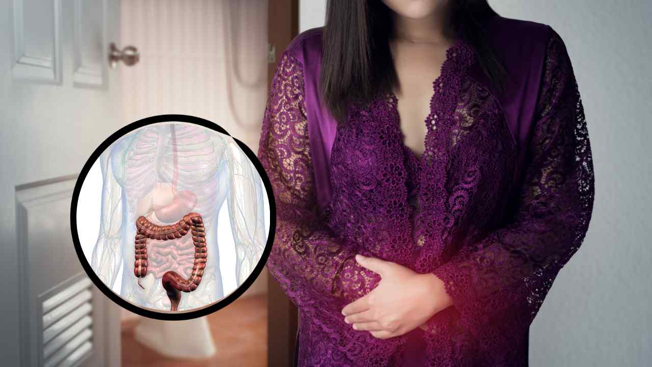 Donna e modello di intestino