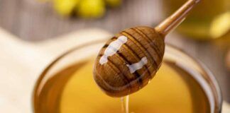 Miele come crema per le ferite - RicettaSprint