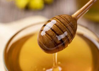 Miele come crema per le ferite - RicettaSprint