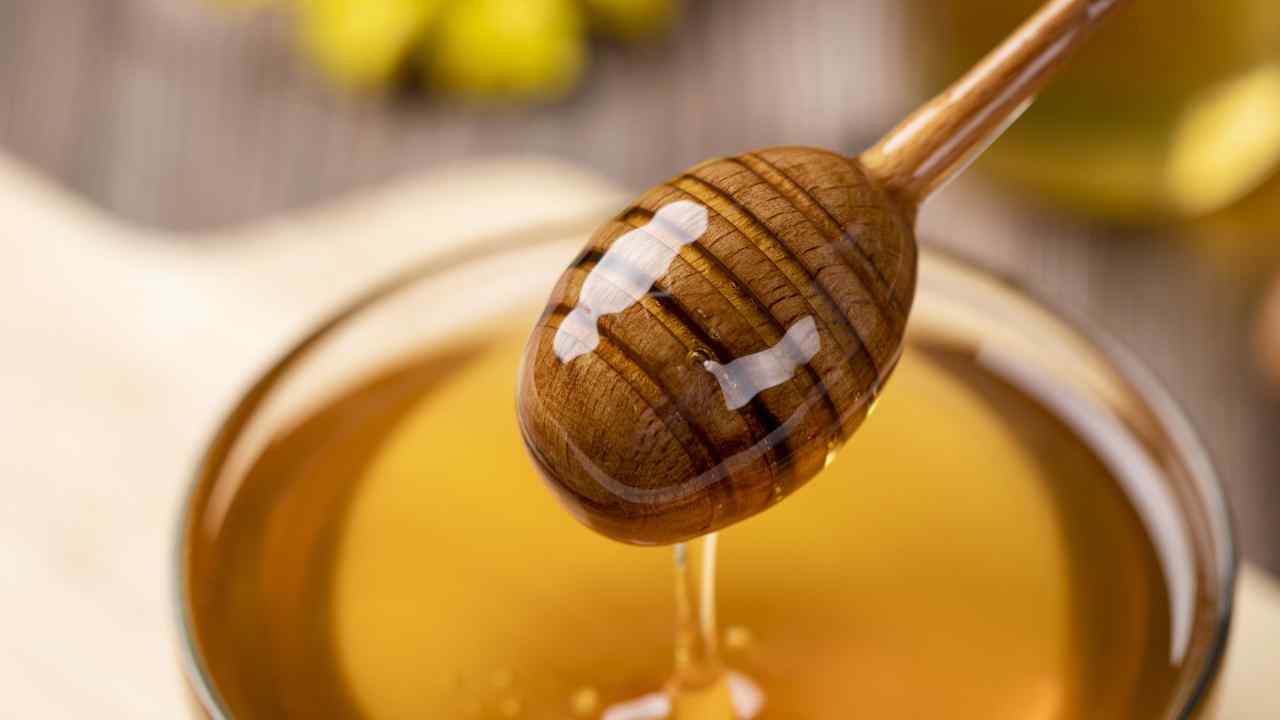 Miele come crema per le ferite - RicettaSprint