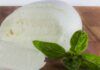 Mozzarella come cucinarla RicettaSprint