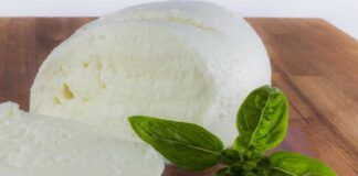 Mozzarella come cucinarla RicettaSprint