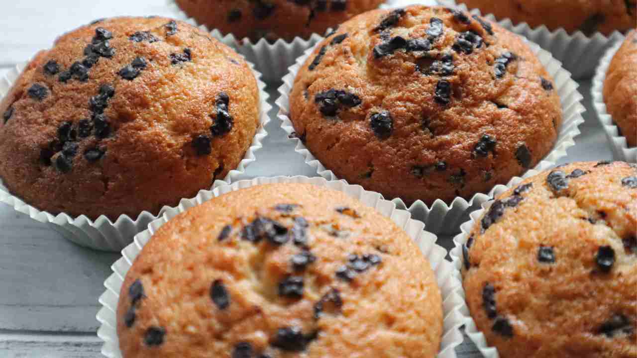 Muffin ricotta e yogurt con gocce di cioccolato RicettaSprint