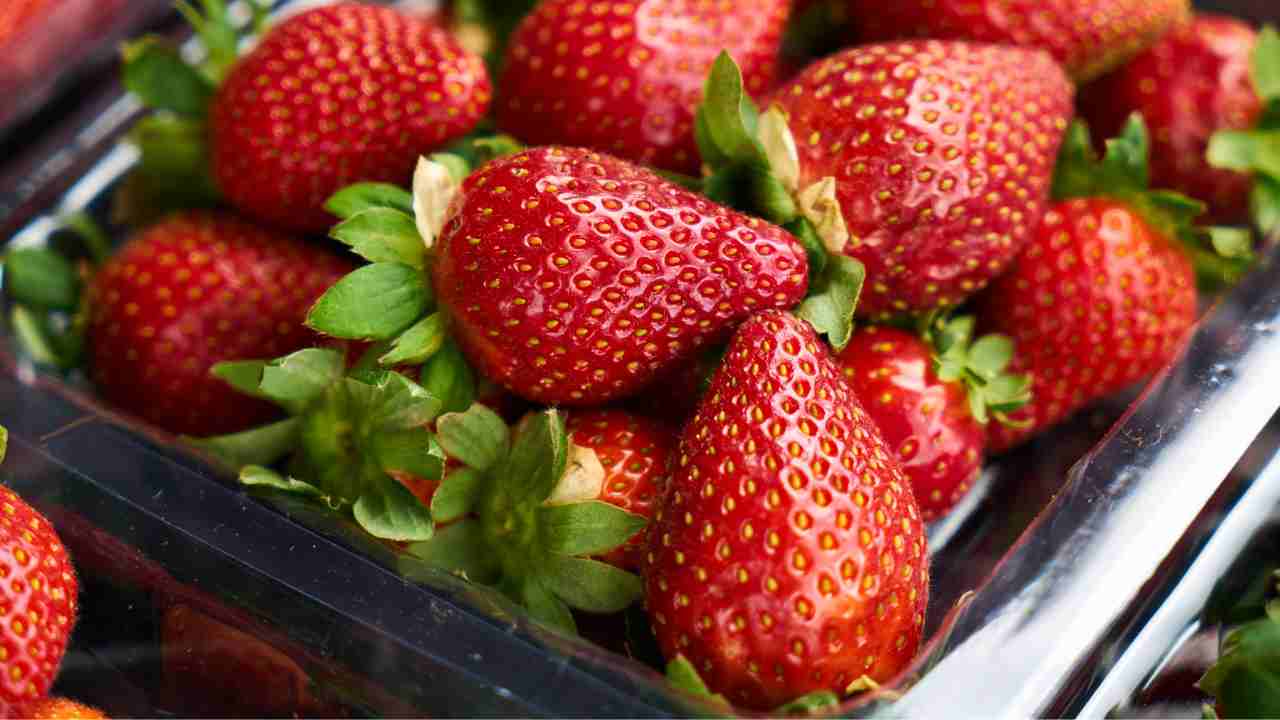 Fragole