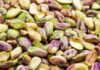 Pistacchi