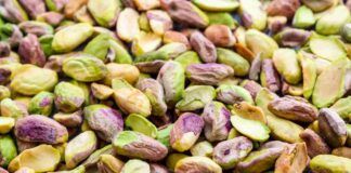 Pistacchi