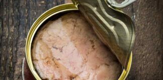 Olio del tonno in scatola RicettaSprint