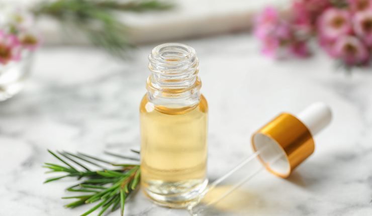 Olio di tea tree per disinfettare la cuccia del cane RicettaSprint